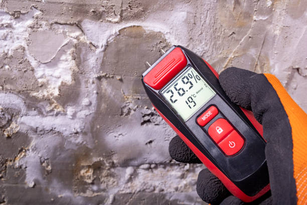 Best Black Mold Removal  in Parowan, UT