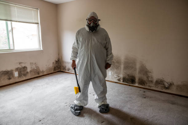 Best Mold Cleaning Services  in Parowan, UT